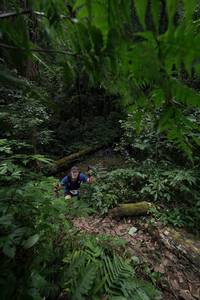 BIB: 
                            <button type="button" onclick="openModal(16029297)" class="btn btn-primary btn-sm float-right btn-popup" data-toggle="modal" data-target=".modal-high-quality">
                        <i class="fas fa-shopping-cart"></i> Add to Cart
                    </button>
                                            <button type="button" onclick="isThisMe(16029297, true)" class="btn btn-success btn-sm float-right btn-popup btn-isme hidden" data-toggle="tooltip" data-placement="bottom" title="นี่คือรูปของคุณใช่ไหม คลิกที่นี่เพื่อเอาเข้าอัลบั้ม">
                        <i class="fas fa-plus"></i> Add to album
                    </button>
                    <button type="button" onclick="isThisMe(16029297, false)" class="btn btn-warning btn-sm float-right btn-popup btn-isnotme hidden">
                        <i class="fas fa-ban"></i> Remove from album
                    </button>